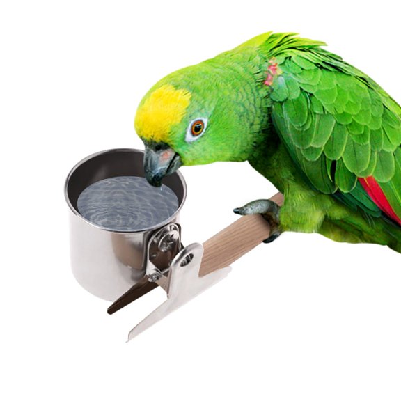 PRETXORVE Bird Feeder, Feeding Cup Stainless Steel Birds Feeders Water Cage Bowls Clamp