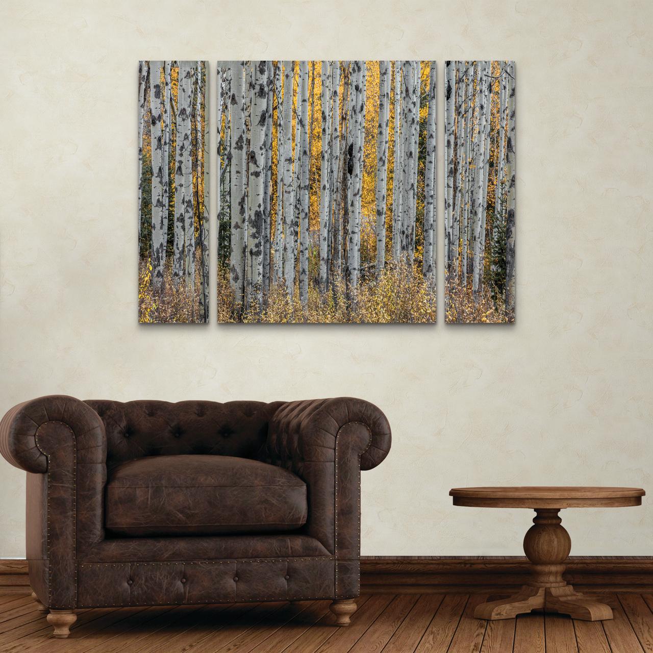 Trademark Fine Art 'Aspen Trees' Canvas Art by Pierre Leclerc