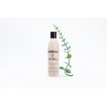 thumbnail image 2 of Hydratherma Naturals Moisture Boosting Shampoo, 2 of 6