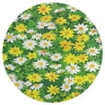 thumbnail image 3 of Floral Colorful Flower Soft Bedroom Round Area Rug, Washable Cute Nursery Circle Throw Mat, Non-Slip Contemporary Small Low Pile Floor Carpet for Dorm Bedside, 3 of 6