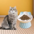 thumbnail image 6 of Porcelain Cat Food Bowls, Feeding Skid Water Bowls High Foot Snack Bowl Tilted Raised Cat Dish for Indoor Cats, Small Dogs Kitty, 6 of 9