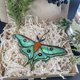 thumbnail image 4 of Colgante de cristal de las mariposas para el coche Sun Catchers ventana interior para las mujeres, 4 of 7