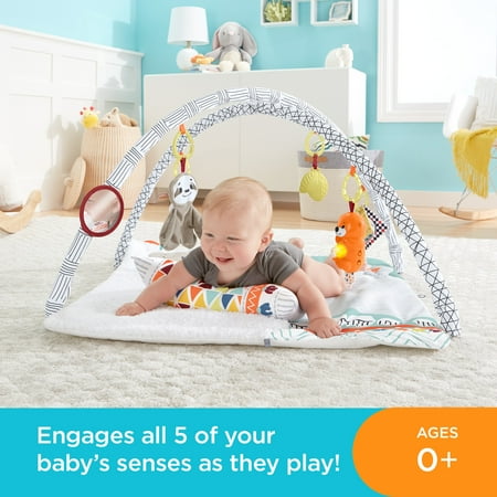 Fisher-Price Perfect Sense Deluxe Baby Gym