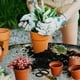 thumbnail image 4 of 2 piezas divertidas ranas de resina decoración de escritorio artesanía creativa adorable figurita de ranas, 4 of 8