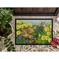 thumbnail image 3 of Pheasant Chicks Door Mat, 3 of 4