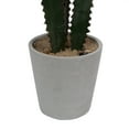 thumbnail image 6 of Vickerman Artificial 29" Green Cactus Plant., 6 of 7