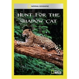 Explore the Wildlife Kingdom: Cougar Ghost of the Rockies
