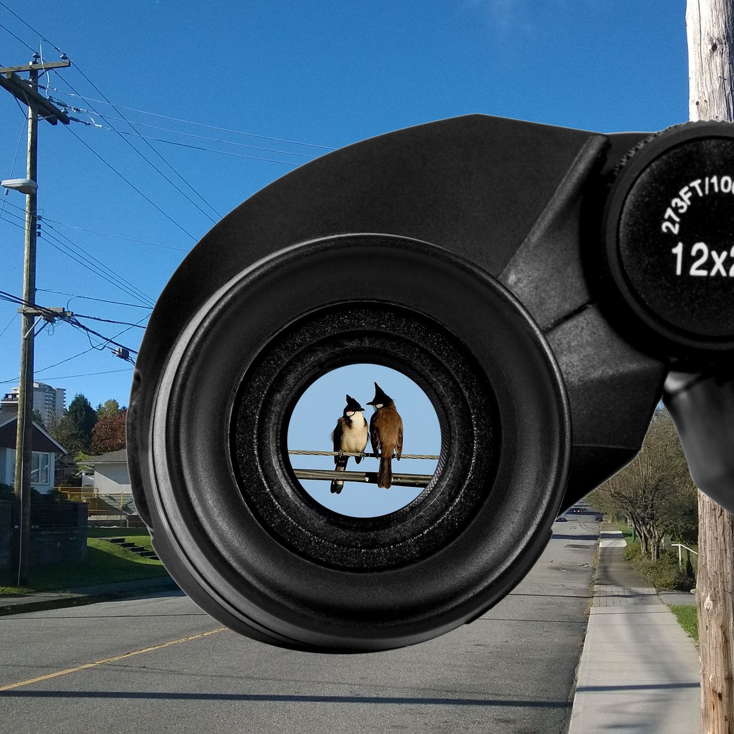 Occer 12X25 Compact Binoculars with Clear Low Light Vision, Large Eyepiece Water