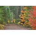 thumbnail image 2 of Paulson, Don 14x11 White Modern Wood Framed Museum Art Print Titled - OR, Willamette NF Historic Santiam Wagon Road, 2 of 4