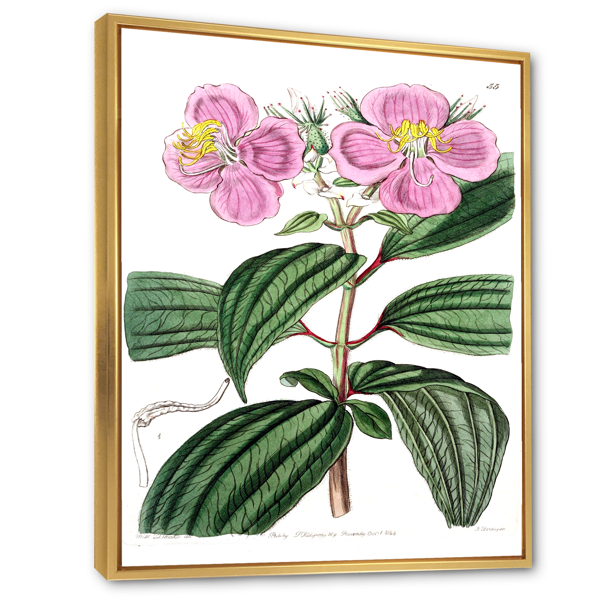 Designart 'Ancient Plant Life XXIII' Traditional Framed Canvas Wall Art Print