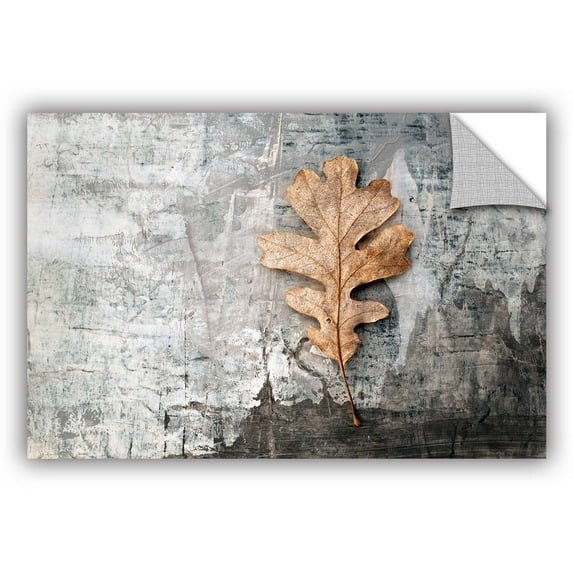 ArtWall Elena Ray "Still Life Leaf" Art Appeals Removable Wall Art