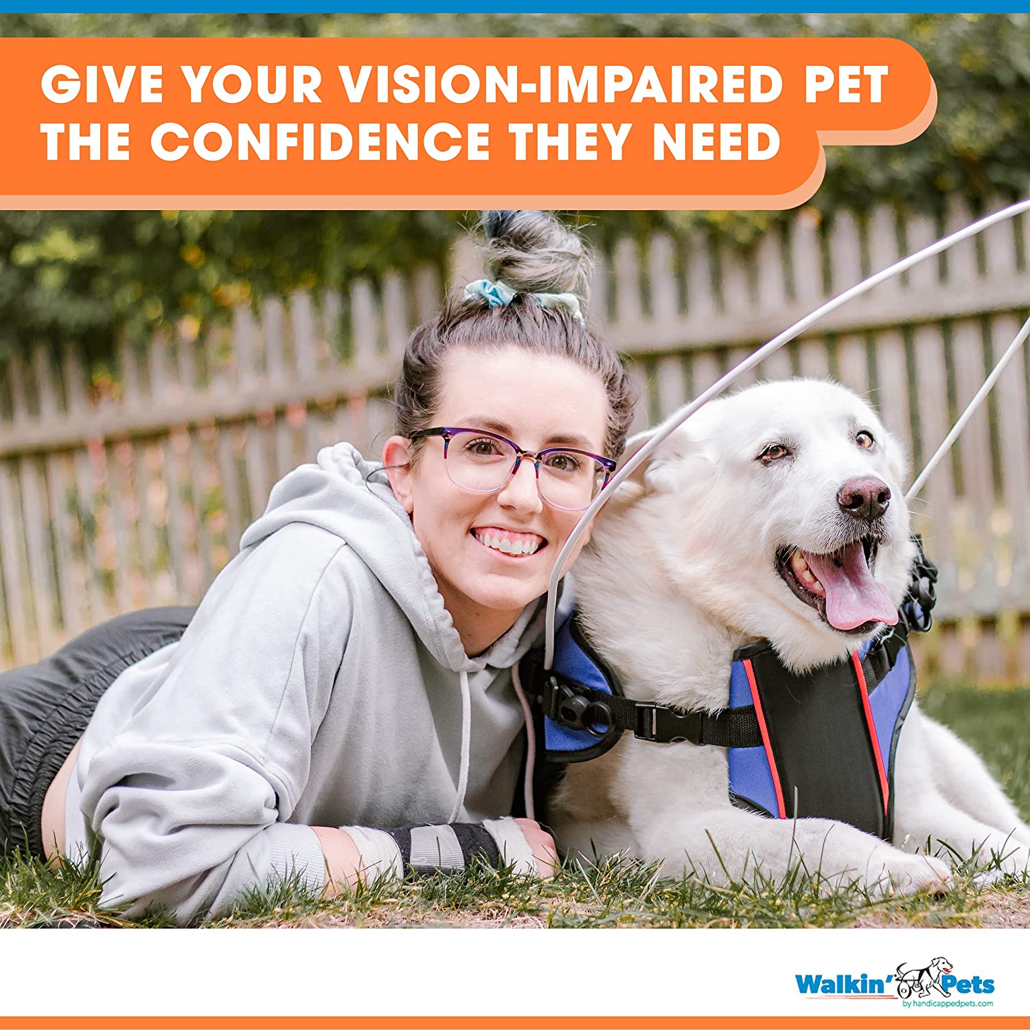 blind dog halo walmart