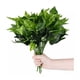thumbnail image 1 of 6pcs Adornos Decoración Hogar De Plantas Artificiales Green1 hoja verde, 1 of 5