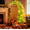4.5ft, variant on Senfot 6ft PVC Elf Bendable Artificial Christmas Tree Special Curved Stylish Design Lifelike Foliage Indoor Large Space Home Xmas Holiday Decor