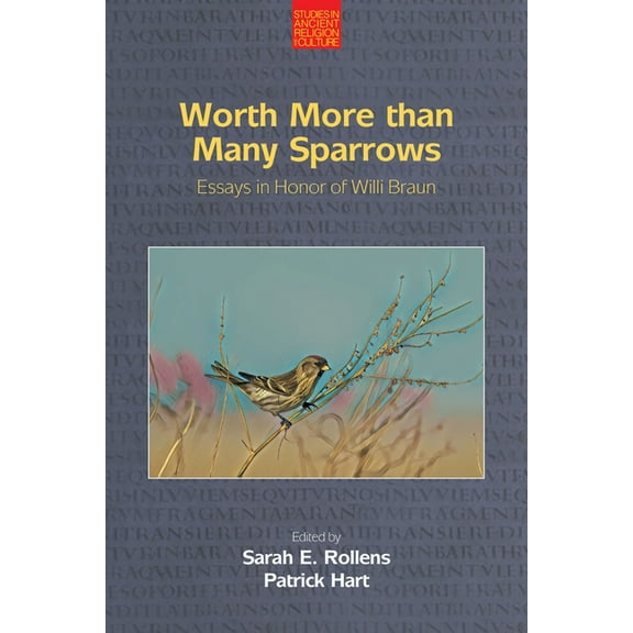 Studies in Ancient Religion and Culture Worth More Than Many Sparrows: Essays in Honour of Willi Braun, (Hardcover)