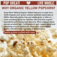 thumbnail image 3 of Great River Milling Organic Yellow Popcorn Kernels  USDA Organic, Healthy Non-GMO Popping Corn  Naturally Gluten Free, Light, Fluffy, Crunchy Popcorn for Stovetop, Air Popper, Whirley Pop  3 Lb, 3 of 9