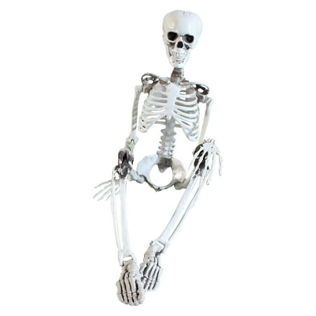 XYKA Halloween Skeleton Prop Deco Halloween Skeleton Life Size Full Body Posable Joints Skeletons Human Full Size Hand Life Body Anatomy Model Halloween Decorations Outdoor