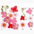 thumbnail image 2 of Advancent Conjunto de flores secas, materiales decorativos de calcomanías de flores reales, etiqueta de espécimen prensado, pintura, estilo postal, Decoración del hogar Rosado Advancent HA062474-05B, 2 of 6