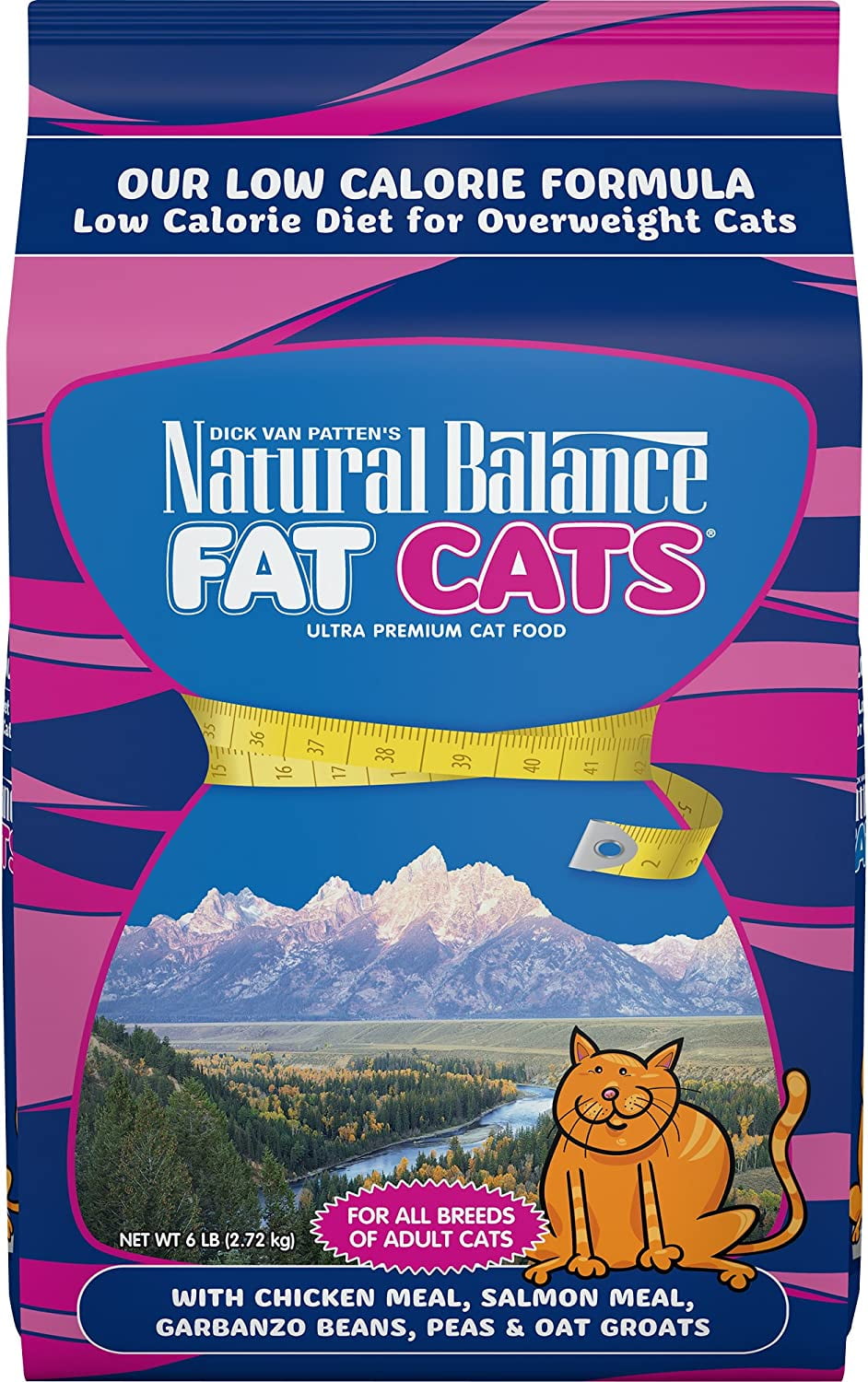 Food for overweight cats online