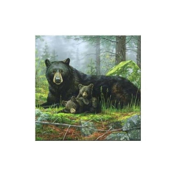 McGowan TT92426 Tuftop Black Bears Trivet