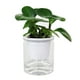thumbnail image 5 of Macetas de autorriego para interiores, paquete de 4,3 pulgadas, maceta decorativa moderna con gran capacidad de almacenamiento de agua para flores y hierbas., 5 of 7