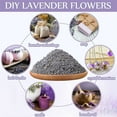 thumbnail image 6 of 0.26lb Dried Lavender Bulk, Natural Dry Lavender Buds, Fragrant Lavender Flower Petals for DIY, Wedding, Gift, Crafts, Home Fragrance, 6 of 7