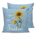 thumbnail image 7 of Outdoor Throw Pillow Cover Sunflower with Sunshine Text Waterproof Cushion Covers 2 Pack Farm Bees Floral on Blue Pillow Cases Home Decoration for Patio Garden Couch Sofa, 7 of 7