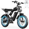 20inch-Peak 1500W-48V 25AH