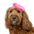 thumbnail image 3 of Vibrant Life Halloween Costume for Dogs, Paw-risian, Pink, Medium, 3 of 8