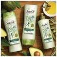 Suave Professionals Avocado + Olive Oil Shampoo, 12.6 oz