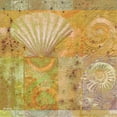 thumbnail image 2 of Unknown 20x20 Gold Ornate Wood Framed with Double Matting Museum Art Print Titled - Seashell Collage, 2 of 4