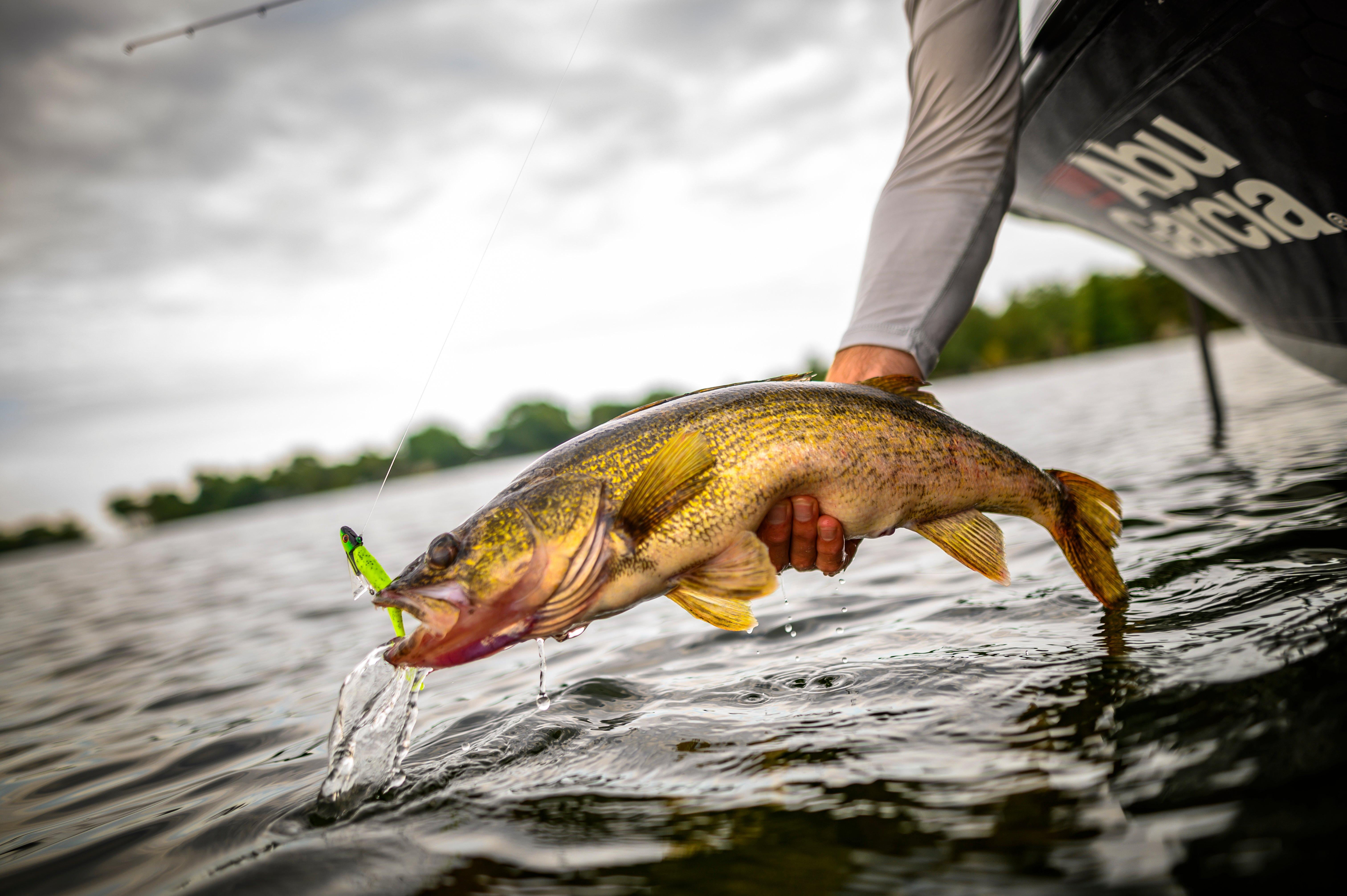 (2 pack) Gulp!® Minnow