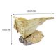 thumbnail image 2 of UPGRATOR 1Ud Maceta Para Plantas Forma Concha Material Resina Decorativa Para Casa, 2 of 8