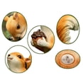thumbnail image 6 of Cute Squirrel Resin Statue Suitable for Garden Yard Outdoor Tree or Fence, 6 of 8