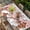 Pink, variant on Black Christmas Table Cloths for 8 Foot Rectangle Tables, Santa Snowman Snowflake Gifts Elk Patio Waterproof Elastic Fitted Tablecloths, Washable Rectangular Table Cover for Camping