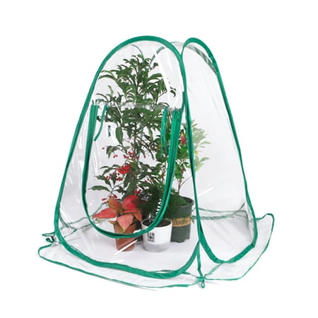 

ametoys Greenhouse Plant Cover Pop Up PVC Greenhouses Backyard Protecting for Flower Grow Gardening Rain Shelter Frost Tents for Outdoor Plants Sunshine Room