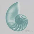 thumbnail image 2 of Koetsier, Albert 12x12 White Modern Wood Framed Museum Art Print Titled - Aquifer Sea Shell, 2 of 4