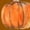 Orange, variant on 2025 New Thanksgiving Blouses for Women Plus Size,Women Fashion Casual Print Round Neck Loose Long Sleeve T-shirt Tops Blouse,Thanksgiving Tops for Women - Orange XXL