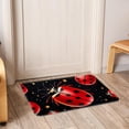 thumbnail image 6 of Ladybird Polyester Indoor Mat Office Floor Mat Non-Slip Machine Washable, 6 of 6