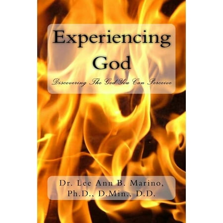 Experiencing God : Discovering the God You Can Perceive
