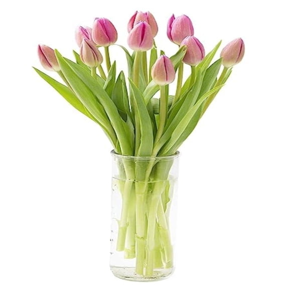 KaBloom : Bouquet of Fresh Pink Tulips with Vase, Next-Day Delivery, Gift for Every Occasion