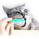 thumbnail image 2 of Juguete dental para gatos, juguete de silicona para morder molares, cepillo de dientes con hierba gatera para gatitos, juguete interactivo con forma de pez, higiene dental para gatos (azul), 2 of 5