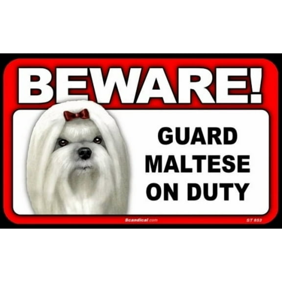 Beware Guard Dog On Duty Sign - Maltese