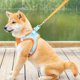 thumbnail image 3 of Dog Harness Leash Set No-Choke Puppy Vest Mesh Harnesses Escape Proof for Small Dogs Comfortable Reflective Breathable L Vibrant Orange, 3 of 5