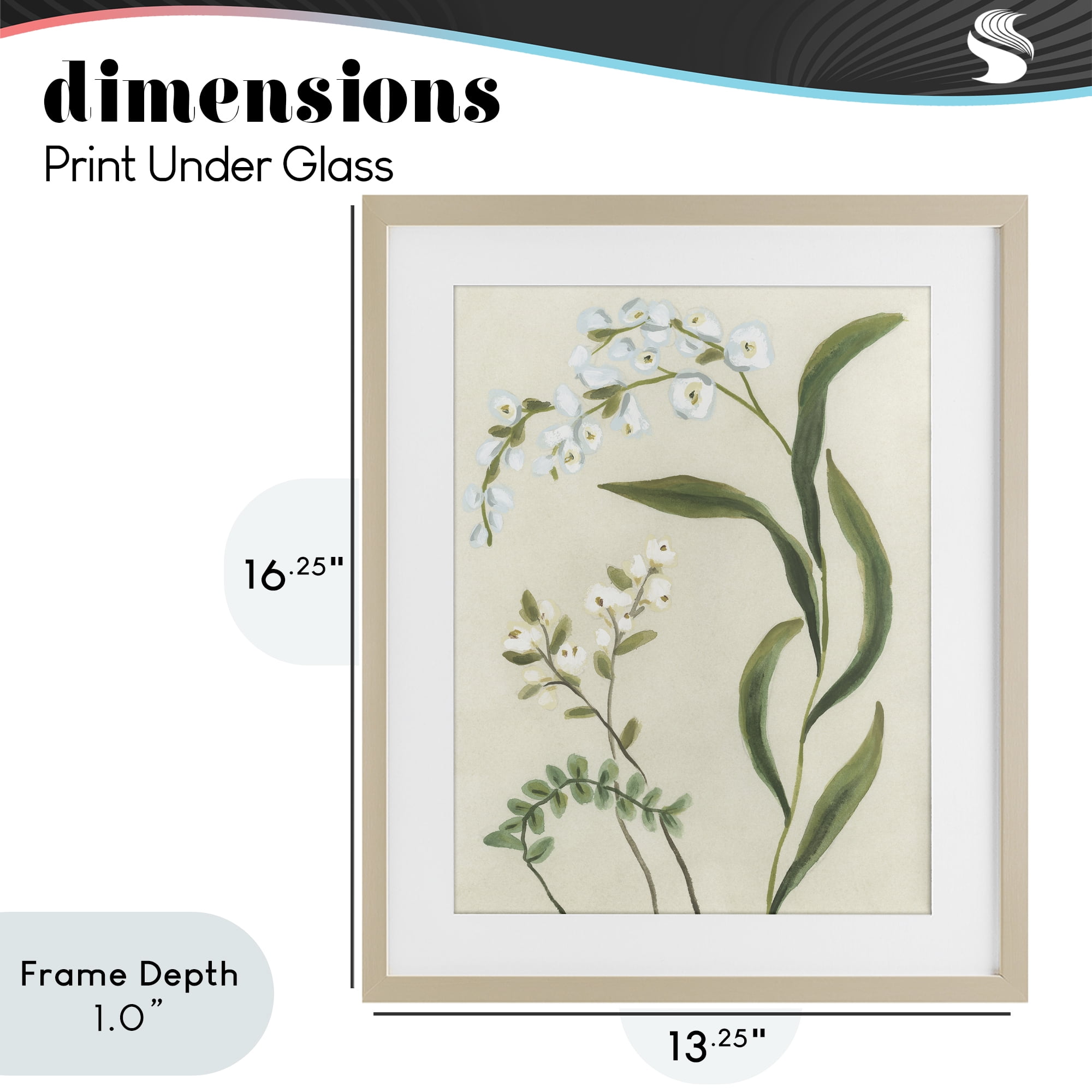 Stupell Industries Neutral Snowdrop Stems Birch Framed Print Under Glass, design by June Erica Vess