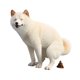 thumbnail image 4 of Figura de perro, escultura animal, adorno de escritorio, decoración creativa para el tablero del coche. Blanco, 4 of 9
