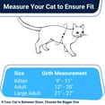thumbnail image 6 of KY Escape Proof Cat Harness and Leash Set by OutdoorBengal for Walking Cats and Kittens (Soft Mesh, Medium Cat), 6 of 6