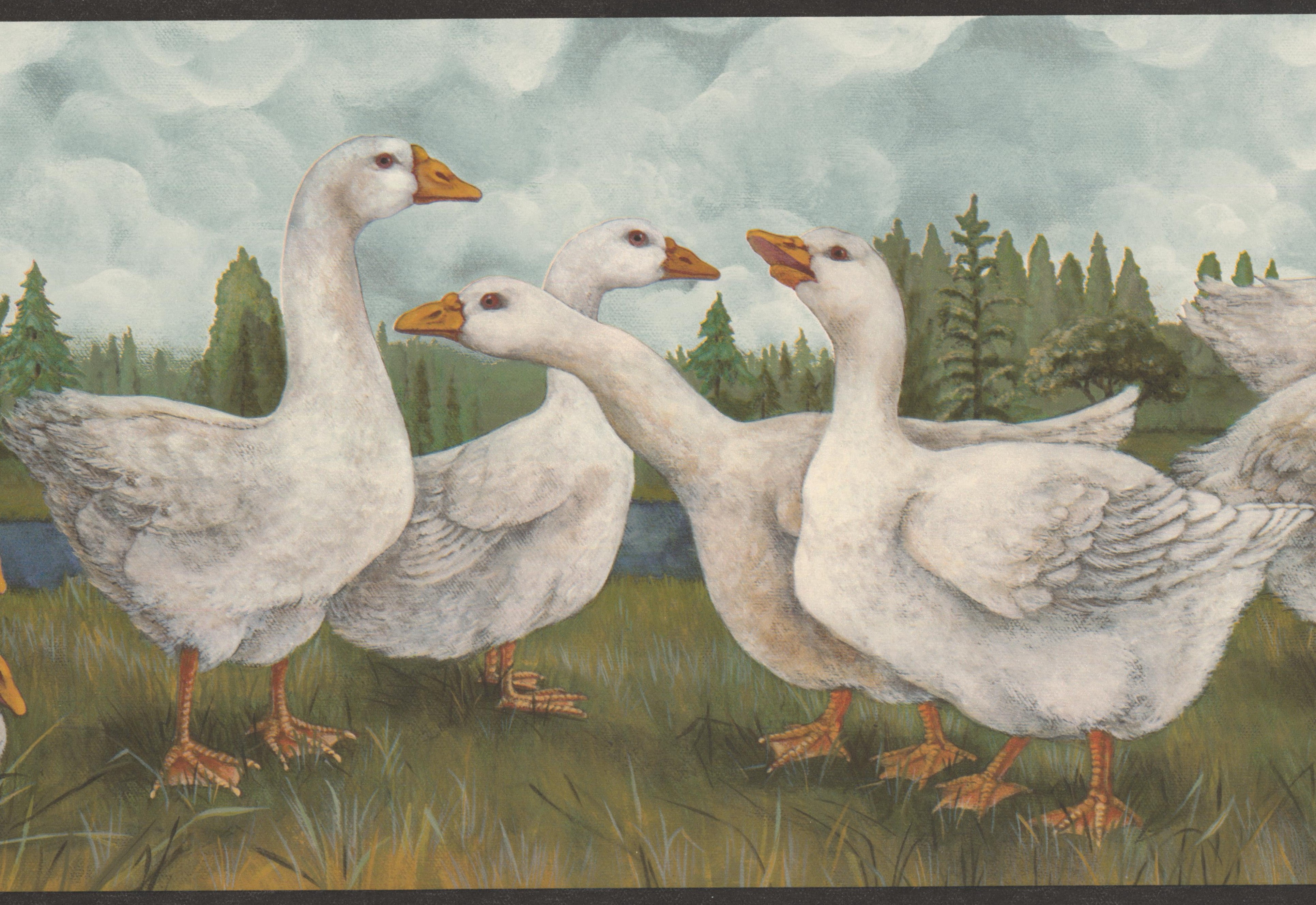 Wallpaper Border - White Ducks on River Vintage Wall Border Retro ...