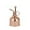 B, variant on 304 Stainless Steel Flower Watering Can Golden Small Manual Succulent Flower Watering Atomizer Sprayer Glass Coffee Pot Haws Indoor Watering Can Indoor Watering Cans for Kids Water Can Watering Mints