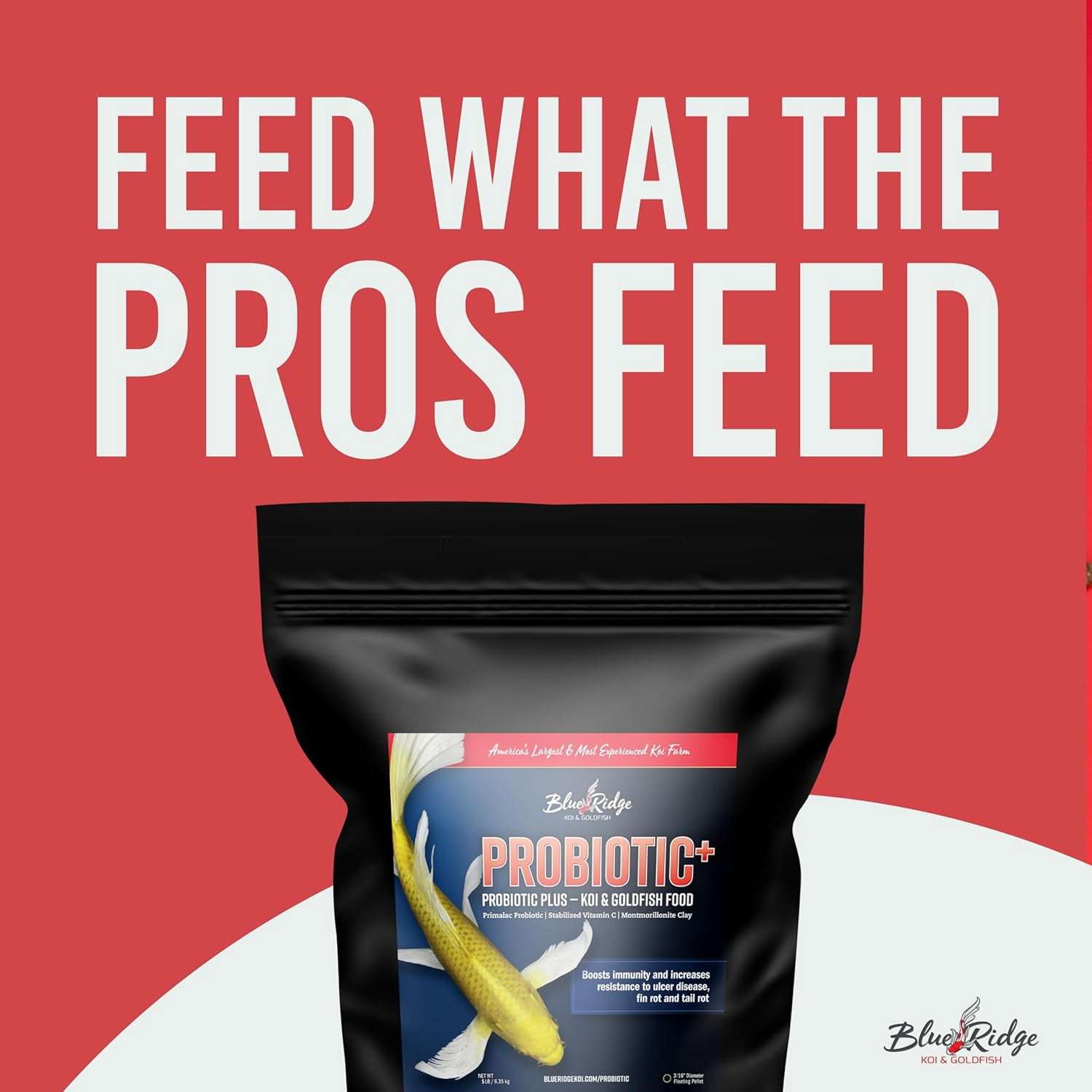 Blue Ridge Koi Fish Food 5lb - Koi Food 3/16” Probiotic Plus, Goldfish Food, Premium Fish Food for Ponds, Ponds Fish Food, Koi Food Fall and Winter Fish Food, Floating Pond Pellets